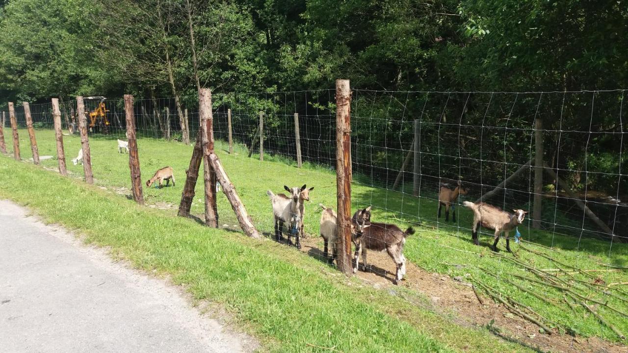 Agroturystyka,, Ranczo Kruszynki" Stronie Śląskie Esterno foto