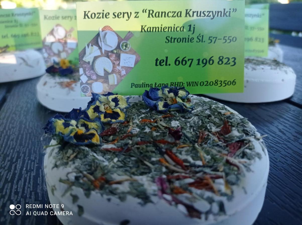 Agroturystyka,, Ranczo Kruszynki" Stronie Śląskie Esterno foto